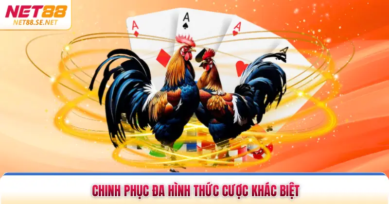 Chinh phục đa hình thức cược khác biệt