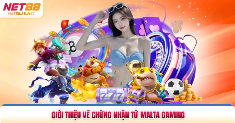 Giới thiệu về chứng nhận từ Malta Gaming